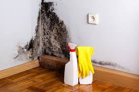 Professional Mold Remediation in Shannon Hills, AR